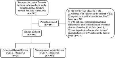 Hyperchloremia Is Associated With Poorer Outcome in Critically Ill Stroke Patients